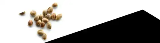 Cannabinoid vape category banner for B2B supply